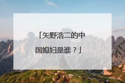 矢野浩二的中国媳妇是谁?