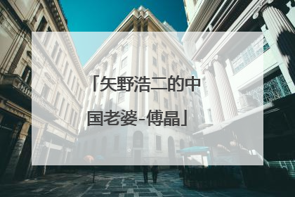 矢野浩二的中国老婆-傅晶