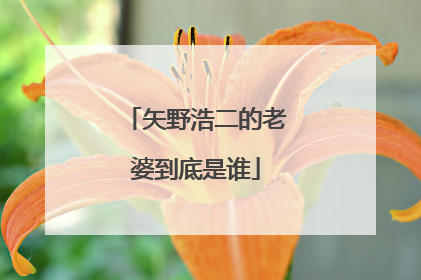 矢野浩二的老婆到底是谁