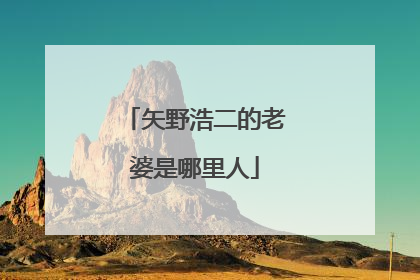 矢野浩二的老婆是哪里人