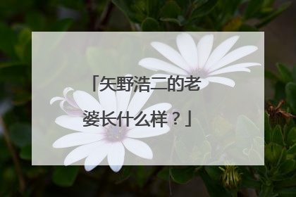 矢野浩二的老婆长什么样？