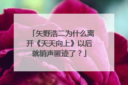 矢野浩二为什么离开《天天向上》以后就销声匿迹了？