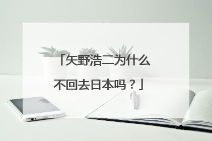 矢野浩二为什么不回去日本吗?