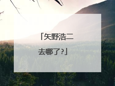 矢野浩二去哪了?