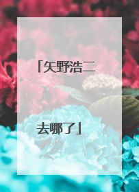 矢野浩二去哪了