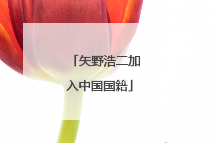 矢野浩二加入中国国籍