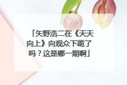 矢野浩二在《天天向上》向观众下跪了吗?这是哪一期啊