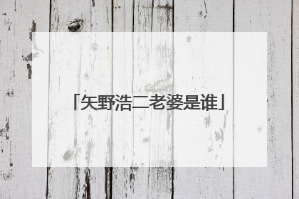 矢野浩二老婆是谁