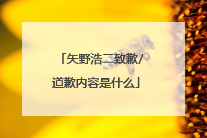 矢野浩二致歉/道歉内容是什么