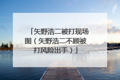 矢野浩二被打现场图（矢野浩二不顾被打风险出手）