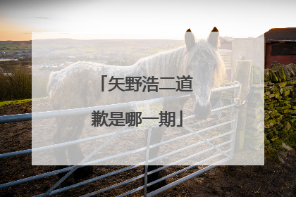 矢野浩二道歉是哪一期