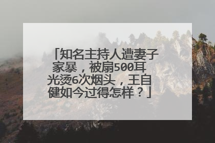 知名主持人遭妻子家暴,被扇500耳光烫6次烟头,王自健如今过得怎样?