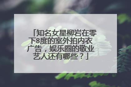 知名女星柳岩在零下8度的室外拍内衣广告，娱乐圈的敬业艺人还有哪些？