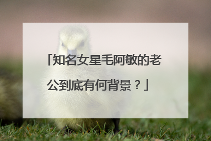 知名女星毛阿敏的老公到底有何背景?