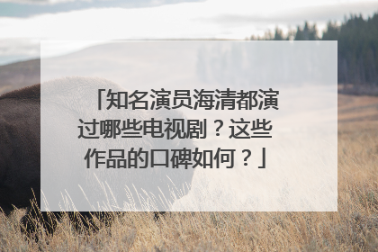 知名演员海清都演过哪些电视剧？这些作品的口碑如何？