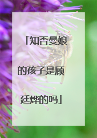 知否曼娘的孩子是顾廷烨的吗