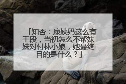 知否：康姨妈这么有手段，当初怎么不帮妹妹对付林小娘，她最终目的是什么？