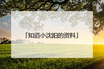 知道小沈阳的资料