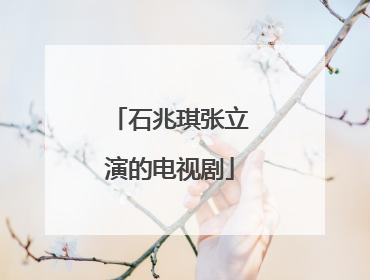 石兆琪张立演的电视剧