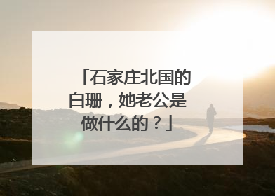 石家庄北国的白珊，她老公是做什么的？