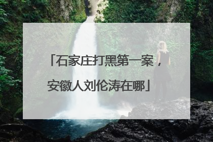 石家庄打黑第一案,安徽人刘伦涛在哪
