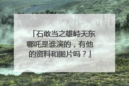 石敢当之雄峙天东哪吒是谁演的,有他的资料和图片吗?