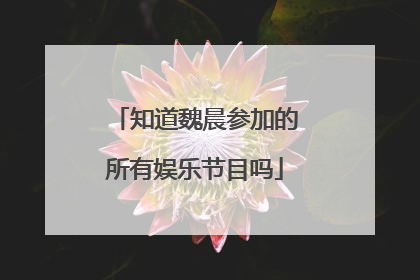 知道魏晨参加的所有娱乐节目吗