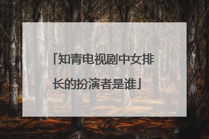 知青电视剧中女排长的扮演者是谁