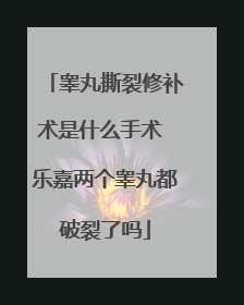 睾丸撕裂修补术是什么手术 乐嘉两个睾丸都破裂了吗