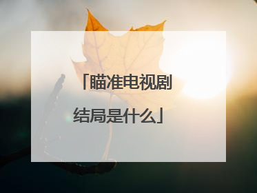 瞄准电视剧结局是什么
