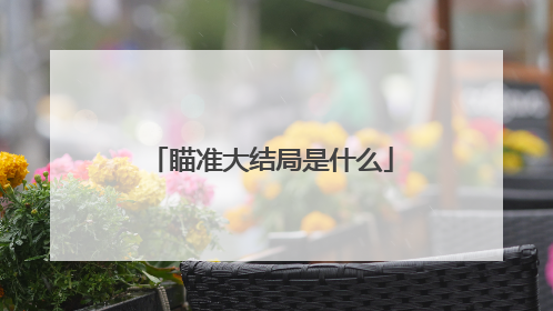 瞄准大结局是什么