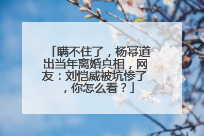 瞒不住了，杨幂道出当年离婚真相，网友：刘恺威被坑惨了，你怎么看？