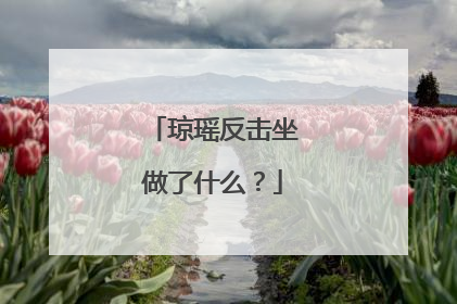 琼瑶反击坐做了什么?