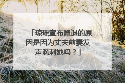琼瑶宣布隐退的原因是因为丈夫前妻发声讽刺她吗？