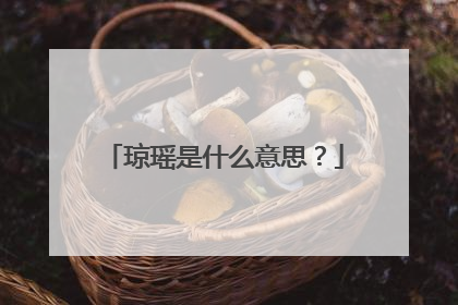 琼瑶是什么意思？