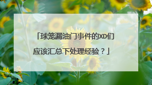 球笼漏油门事件的XD们应该汇总下处理经验？
