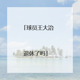 球员王大治退休了吗