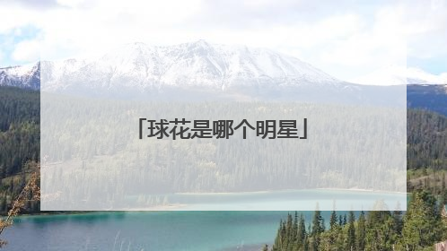 球花是哪个明星