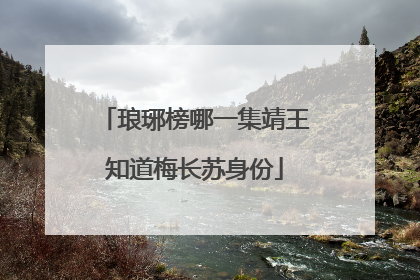 琅琊榜哪一集靖王知道梅长苏身份