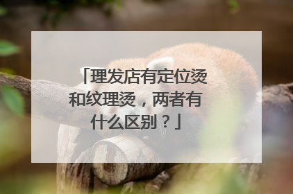 理发店有定位烫和纹理烫,两者有什么区别?