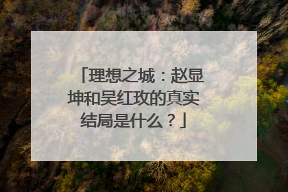 理想之城：赵显坤和吴红玫的真实结局是什么？