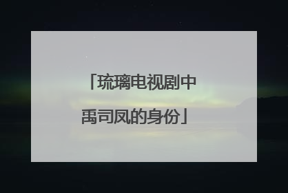 琉璃电视剧中禹司凤的身份