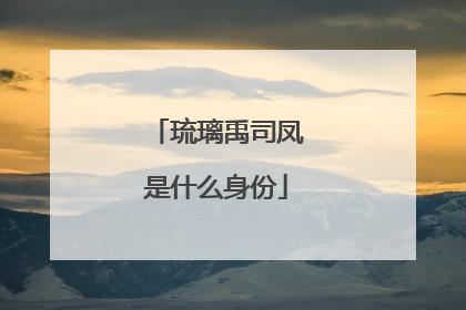 琉璃禹司凤是什么身份