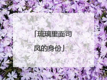 琉璃里面司凤的身份