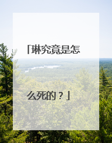 琳究竟是怎么死的？