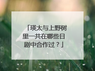 瑛太与上野树里一共在哪些日剧中合作过？