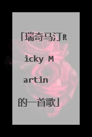 瑞奇马汀Ricky Martin 的一首歌
