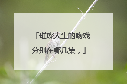 璀璨人生的吻戏分别在哪几集，