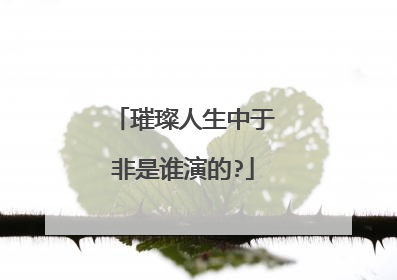 璀璨人生中于非是谁演的?