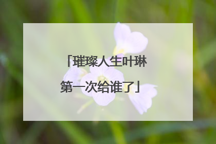 璀璨人生叶琳第一次给谁了